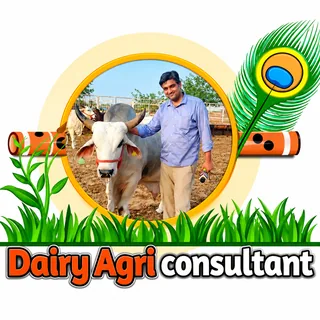 Dairy Agri Consultant